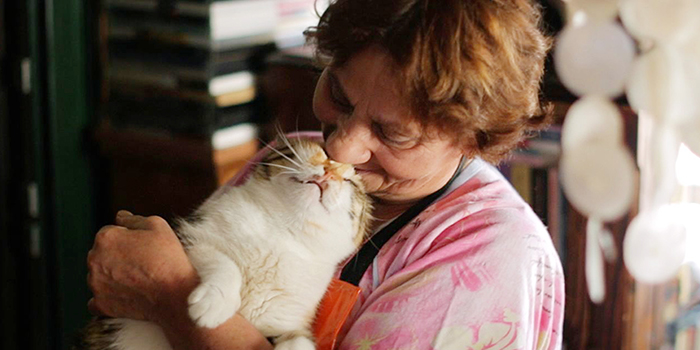 映画『猫が教えてくれたこと』公開記念スペシャルコラボレーション