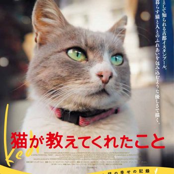 映画『猫が教えてくれたこと』公開記念スペシャルコラボレーション