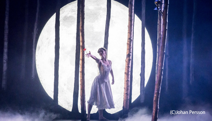 ＜バレエ＞マシュー・ボーンの 『眠れる森の美女』公演記念スペシャルコラボレーション